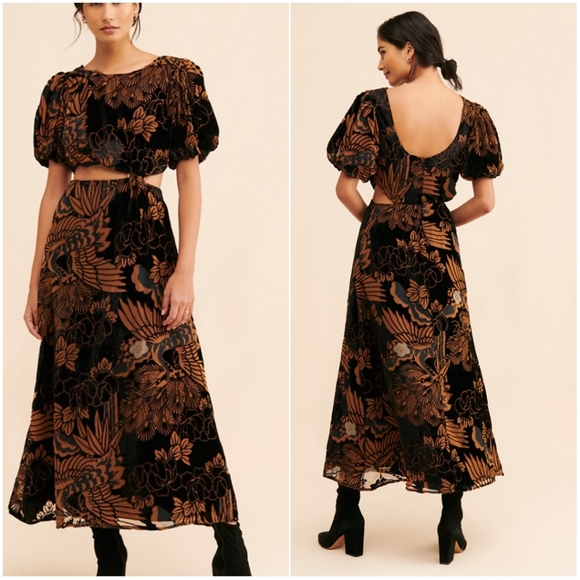 anthropologie burnout velvet maxi dress Burnout Velvet Maxi Dress